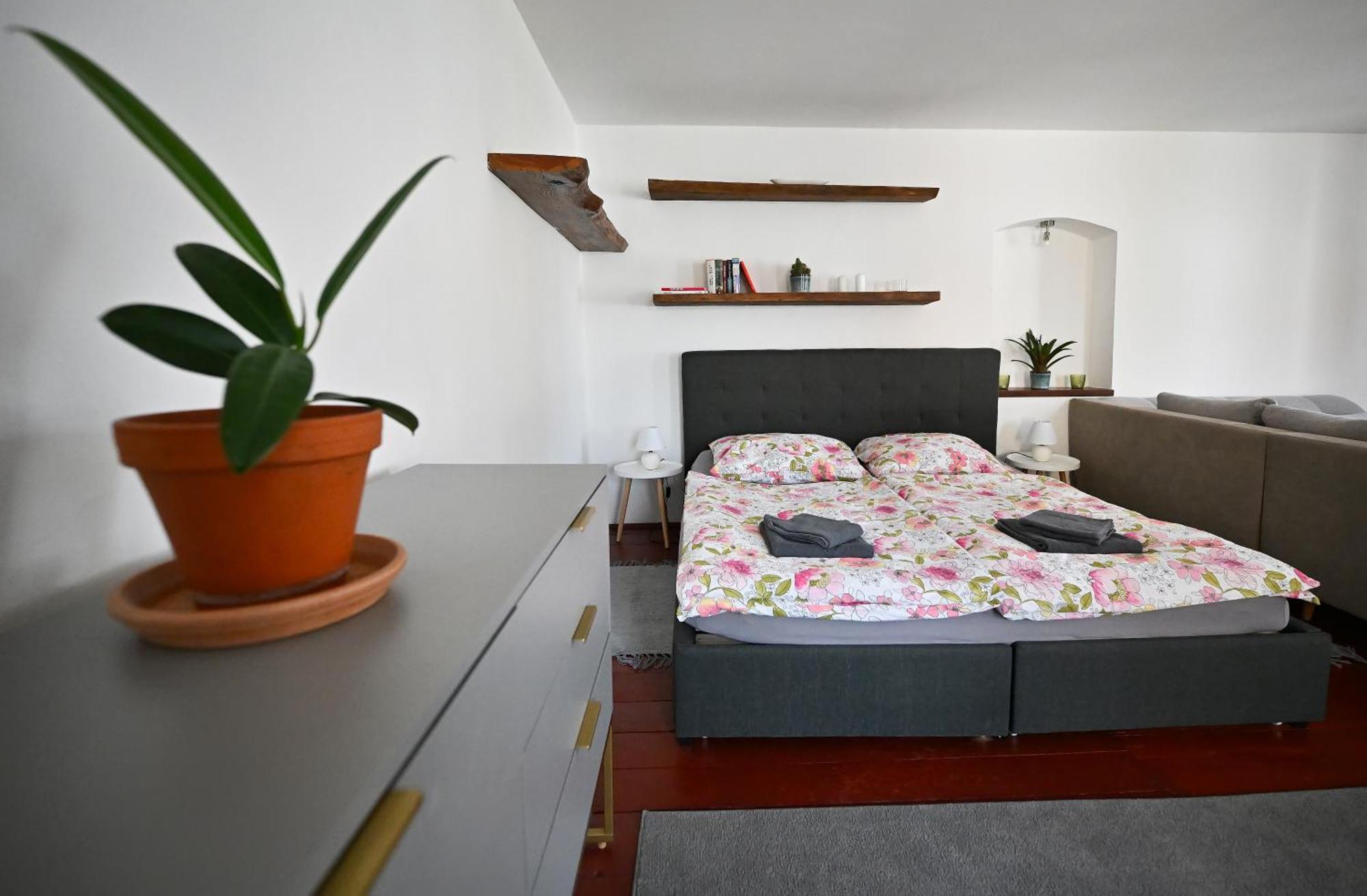 Apartman U Spinaru Тршешть Экстерьер фото